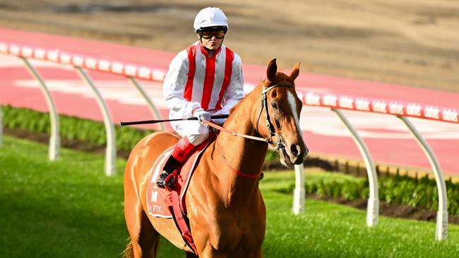 Craig Williams and Giga Kick have enjoyed great success together in the last 18 months. Picture: Getty Images