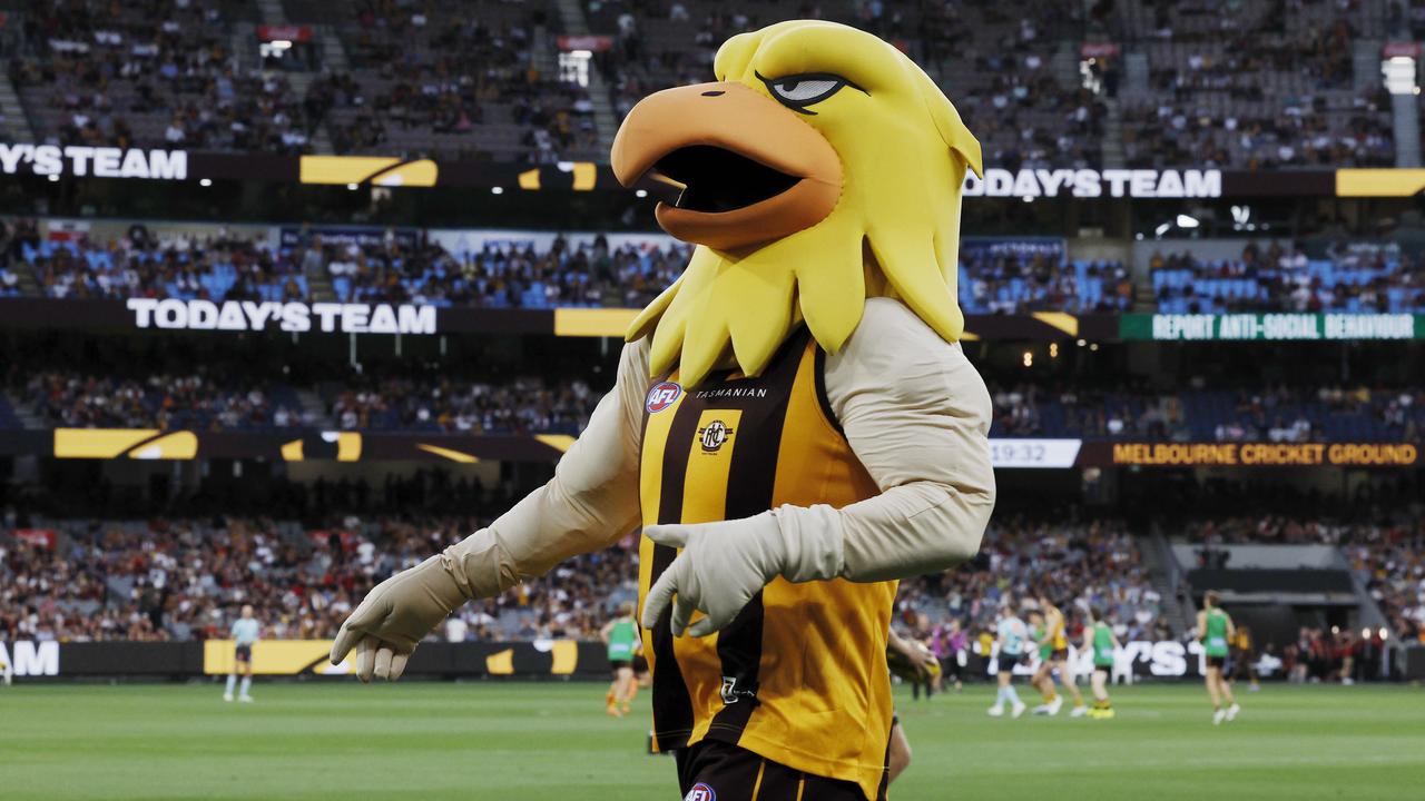 Hawthorn mascot. Picture: Michael Klein