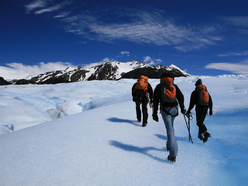 Best Things To Do In Antarctica, From Expedition Cruises To Camping And ...