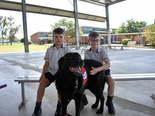 Jake Griffiths and JJ Greenaway, from OLSCC, with Story Dog Sammy. Picture: Sam Flanagan