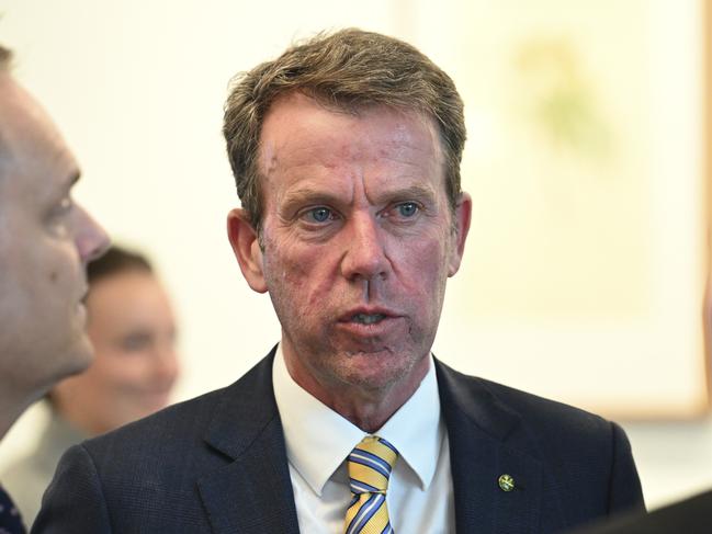 Liberal MP Dan Tehan. Picture: NewsWire/Martin Ollman