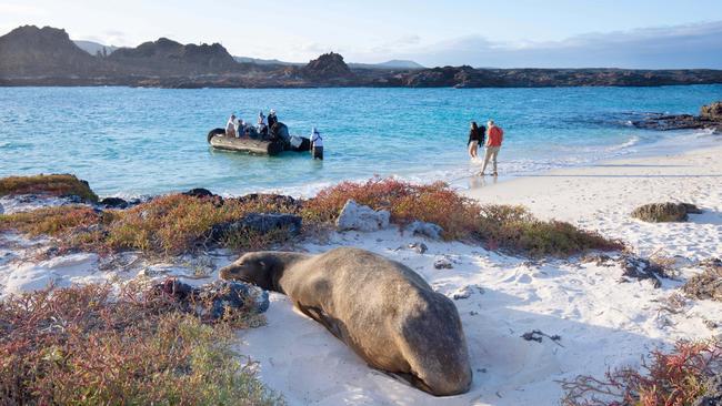 On a shore excursion from Aqua Mare in the Galapagos Islands.