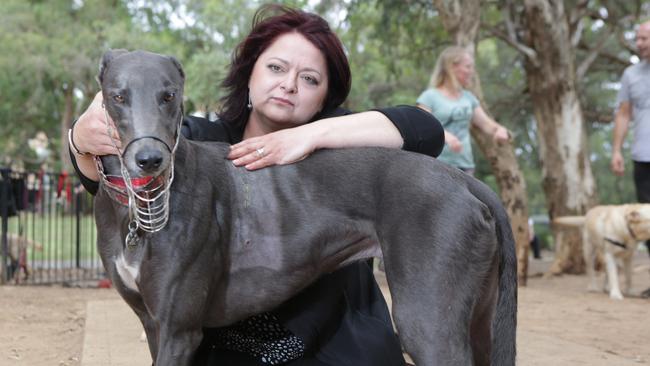 Rohan Jarvis with her recue greyhound Griffin. Picture: Tim Clapin