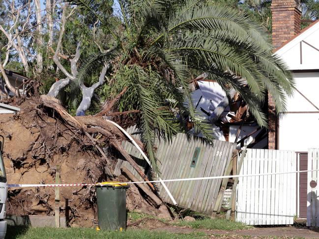 Major storm damage along Gallipoli Rd, Camp Hill. Picture: Steve Pohlner