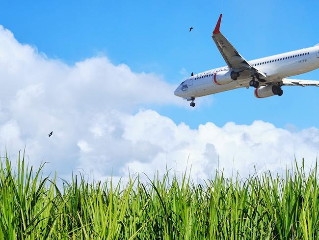 North Queensland is poised to capitalise on supplying biofuel for aeroplanes in Australia. Picture: Andrew Thomas