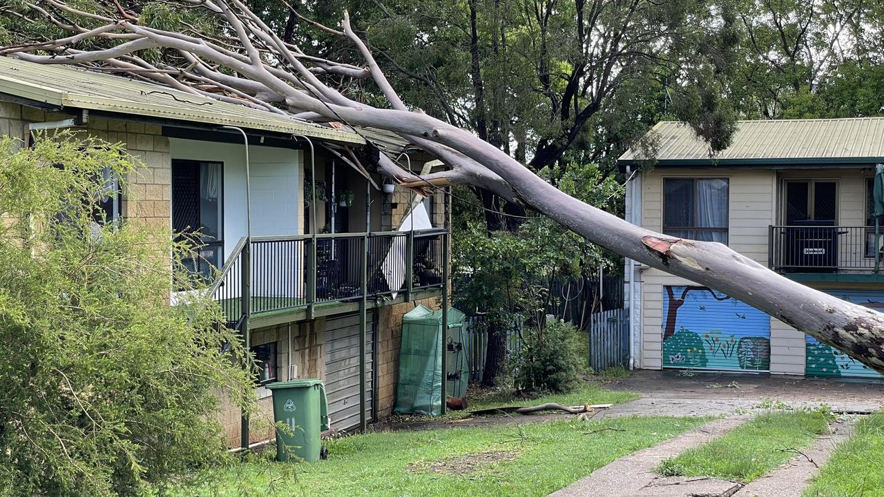 Wild weather which struck Gympie on Boxing Day left a trail of devastation across the region, including knocking a tree into a home near Gympie Central Shopping Centre.