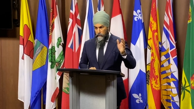 Singh calls for removal of special rapporteur Johnston