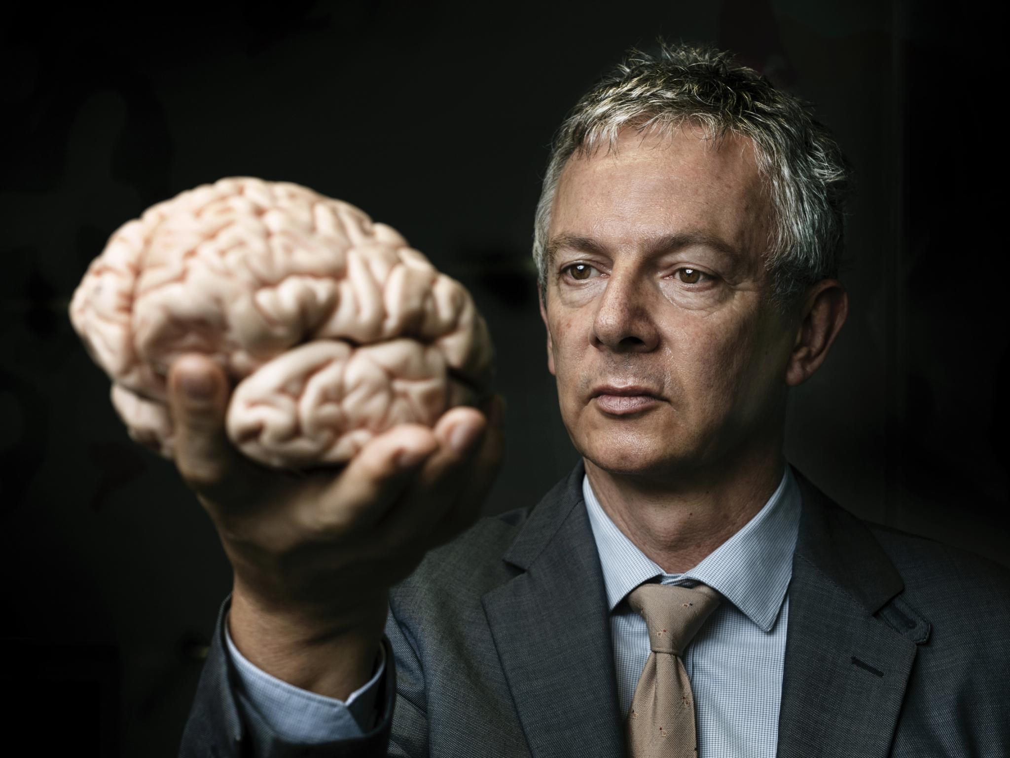 Where are memories stored in the brain? - Queensland Brain Institute -  University of Queensland