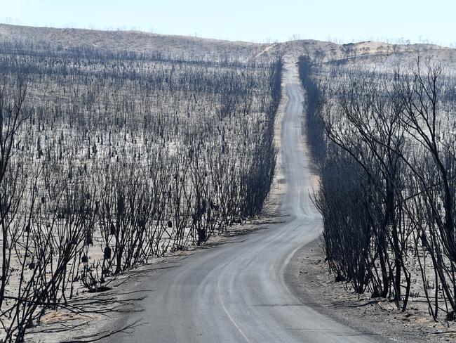 More than 211,000 hectares of land were burned. Picture: David Mariuz/AAP