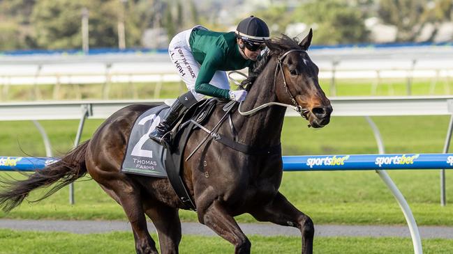 Jamie Kah guides Sachem to a soft win at Morphettville in July. Picture: Makoto Kaneko