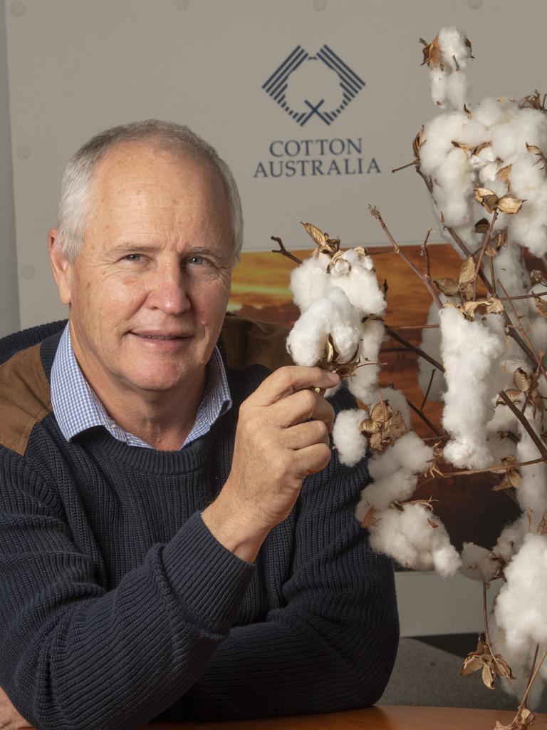 The Cotton Collective