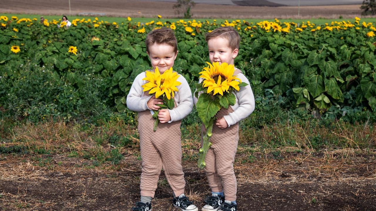 Dalby twins, Braxyn and Cruz Cruz.Open day at Warraba Sunflowers, Cambooya. Saturday June 29th, 2024