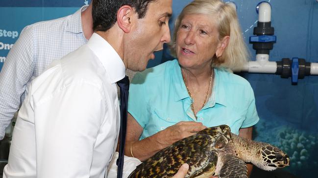 Leader of the Opposition David Crisafulli meets Dennis the juvenile Hawksbill turtle, as well as Turtle Triage and Rehabilitation Centre co-founder Jennie Gilbert, during a tour of Cairns Aquarium on Monday of the first week of the campaign. Picture: Liam Kidston