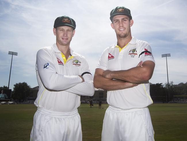 Western Australia and Test teammates Adam Voges and Mitchell Marsh.