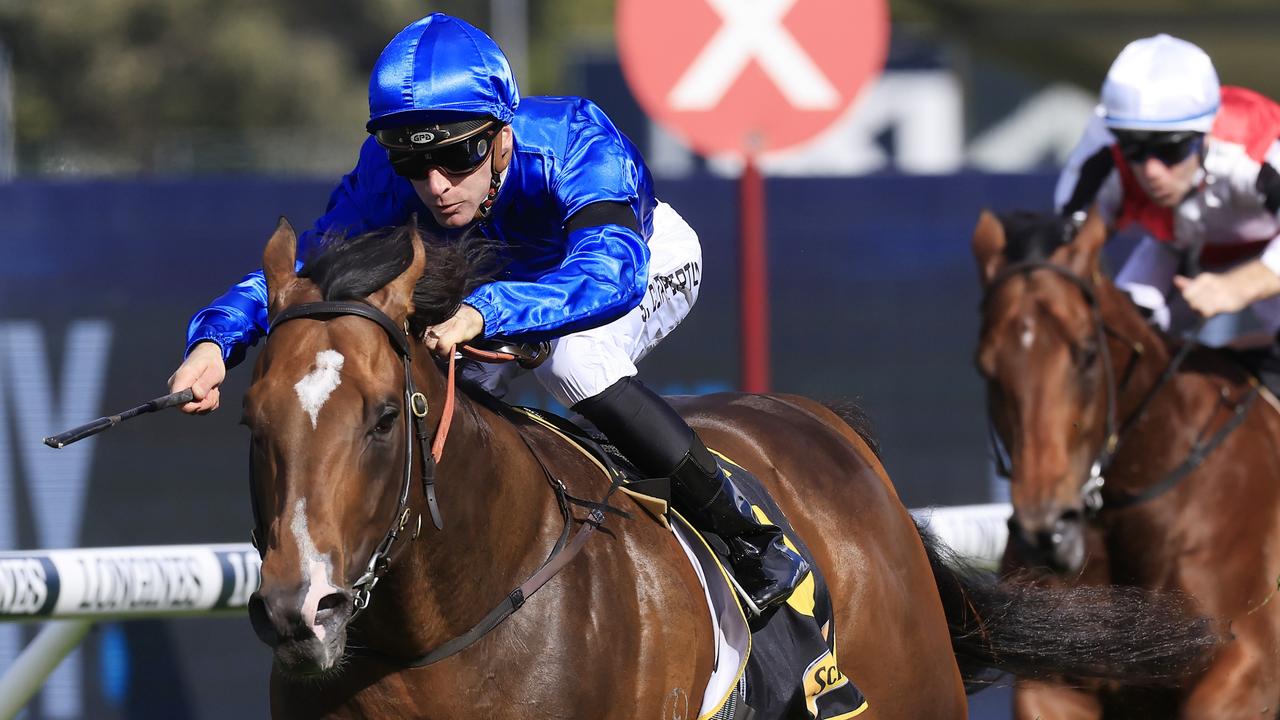 Boom colt Golden Mile stormed into Golden Rose contention with a big win in the Ming Dynasty Stakes last start. Picture: Getty Images