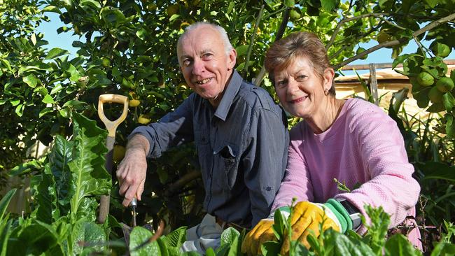 Marlene and Dom Henschke have a cash buffer to help handle the downturn. Picture: Tom Huntley