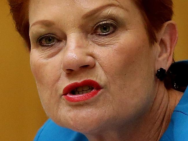 Senator Pauline Hanson asking questions at a Senate Estimates committee at Parliament House in Canberra. Picture Kym Smith