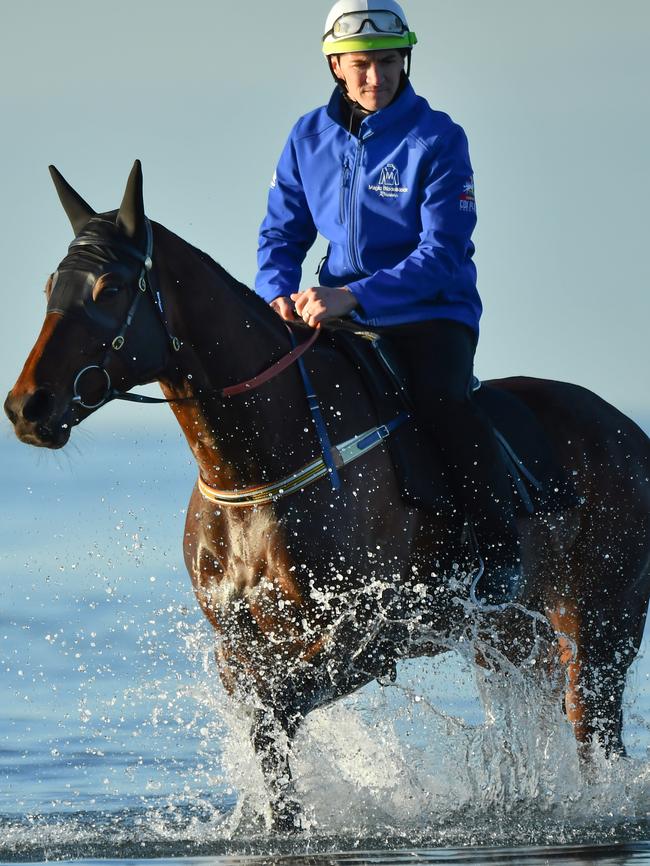 Ben Cadden riding Winx during a beach session at Altona beach. Picture: Vince Caligiuri/Getty Images