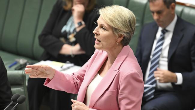 Environment Minister Tanya Plibersek says metallurgical coal is essential for making steel used in constructing renewable energy infrastructure. Picture: Martin Ollman/NewsWire