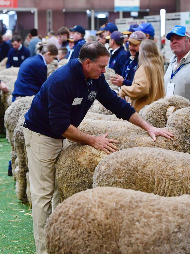 Judges cast an eye over the exhibits. Picture: Zoe Phillips