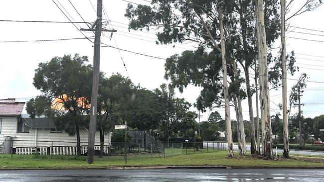 Controversy and debate has arisen after local council decided to remove a potentially dangerous cluster of gum trees.
