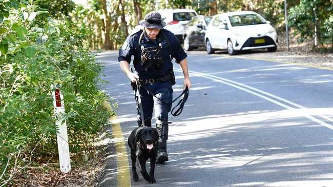 Police with search dogs prepare to search the heavy bushland between Watergoes and The Pass in Byron Bay in the search for missing backpacker Theo Hayez. Picture: Marc Stapelberg