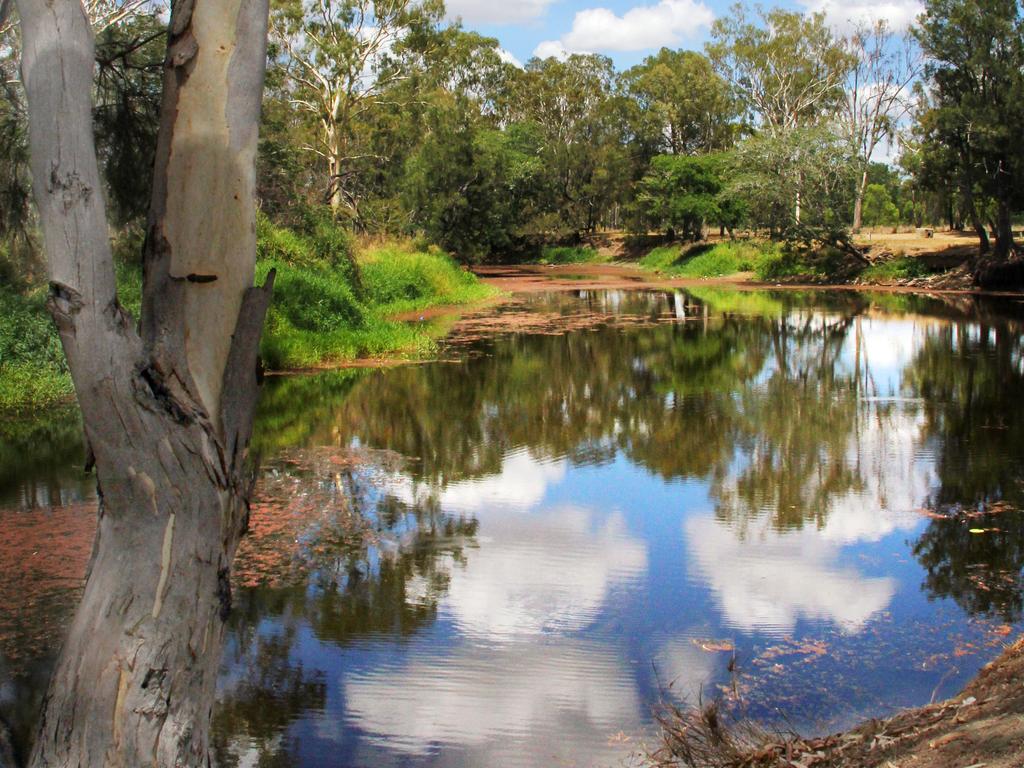 Springers Lagoon, Gracemere. Photo: Tamara MacKenzie / The Morning Bulletin