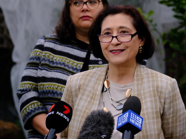 MELBOURNE, AUSTRALIA - NewsWire Photos JULY 2, 2022: Victorian  Minister for Energy, Lily d'ambrosio, makes a gas announcement during a press conference in Melbourne., Picture: NCA NewsWire / Luis Enrique Ascu