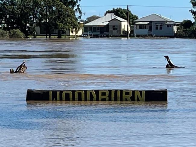 ‘It’s cruel’: After a night of celebration, Woodburn underwater again