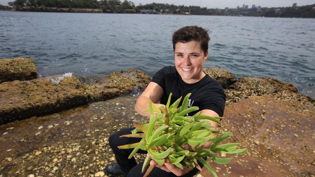 Chef Claire Van Vuuren is the culinary director of Sunset 20 North Festival, where the food focus is on native ingredients. Claire photographed with pigface at Barangaroo. Picture: Bob Barker