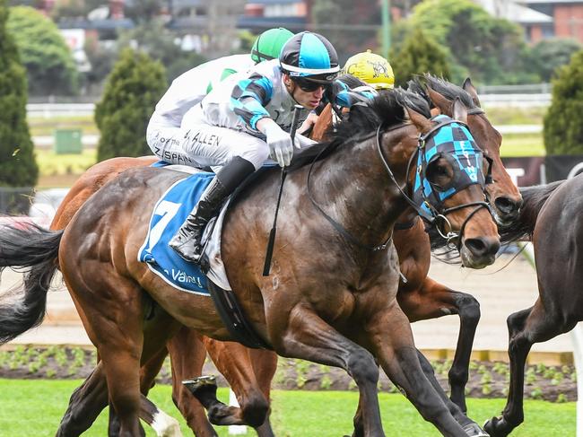 Scentify ridden by Ben Allen wins the Membership On Sale Plate at Moonee Valley Racecourse on August 26, 2023 in Moonee Ponds, Australia. (Photo by Brett Holburt/Racing Photos via Getty Images)