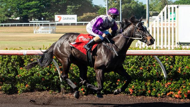 Trainer Nicole Bruggemann is thrilled that Highly Decorated has drawn barrier one for the Great Northern Darwin Cup. Picture: Caroline Camilleri