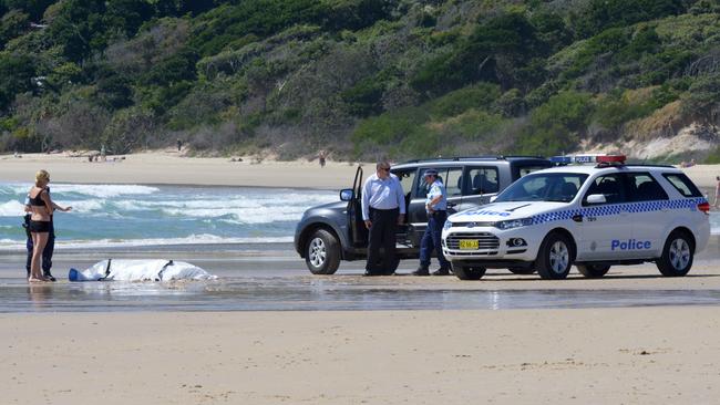 The victim’s body lies on the sand covered by a sheet after the fatal attack. Picture: Brian Pamphilon