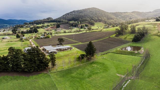 Wine Machine 2023 in the Huon Valley at Home Hill Winery. Picture: Supplied