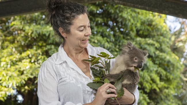 Kangaroo Island Wildlife Network president Kate Welz with a rescue koala at the Kangaroo Island Wildlife Park in Parndana. Picture: Simon Cross