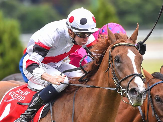 Pinstriped ridden by Michael Dee wins the Chandler Macleod VOBIS Gold Carat at Moonee Valley Racecourse on January 29, 2022 in Moonee Ponds, Australia. (Reg Ryan/Racing Photos via Getty Images)