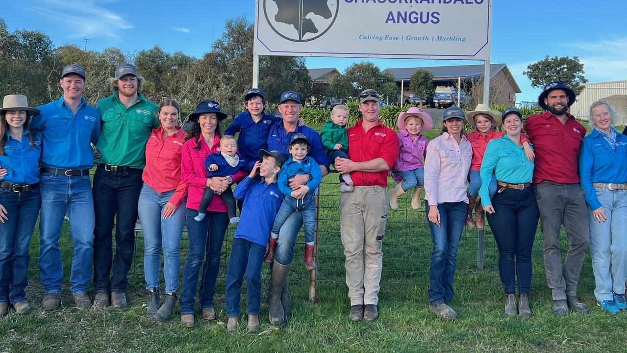 Five siblings behind fired up Angus stud