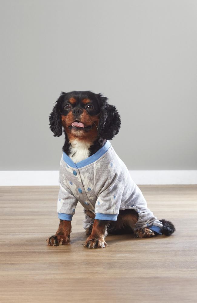 And yes, it will also have a range of cosy winter essentials including these adorable PJs for your furry friends ($10.99).