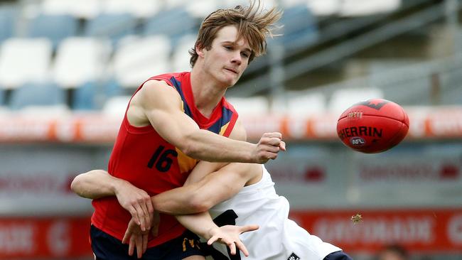 Jonty Scharenberg is expected to be picked up in the 2016 national draft. Picture: Colleen Petch
