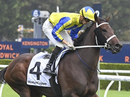 Ron Dufficy has made Chica Mojito his best bet of the day at Rosehill Gardens on Saturday. Picture: Bradley Photos