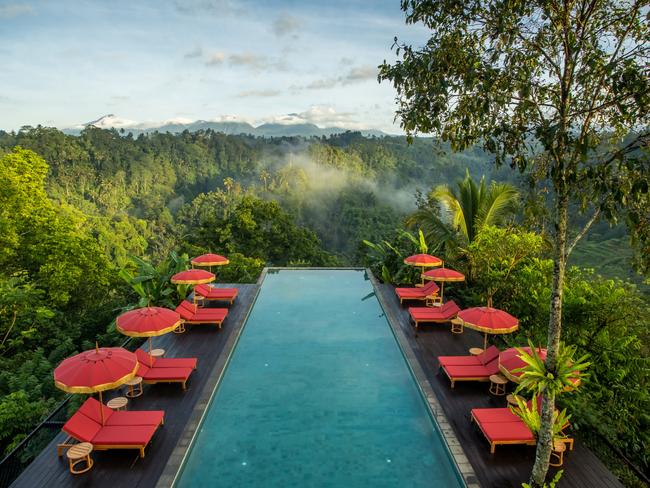 Buahan Banyan Tree in Bali