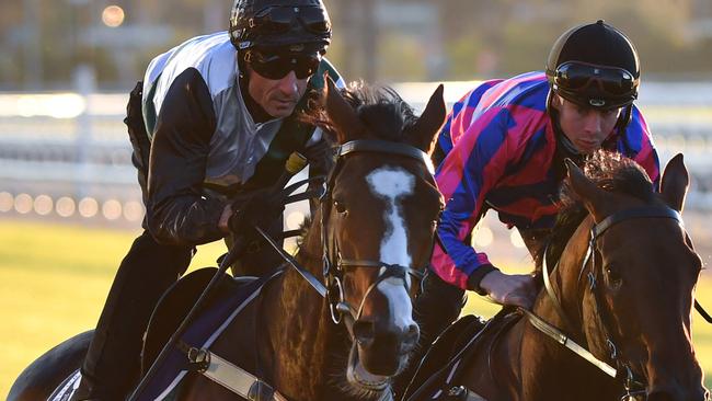 Glen Boss rode Constantinople in a gallop at Flemington on Tesuday. Picture: AAP