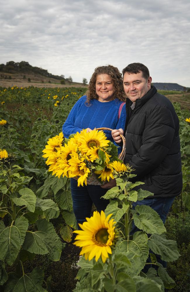 Gallery: Warraba Sunflowers near Toowoomba attracts thousands for ...