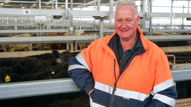 Clarkes Hill farmer Dominic Prendergast sold 36 Angus steers at Ballarat. Picture: Rachel Simmonds