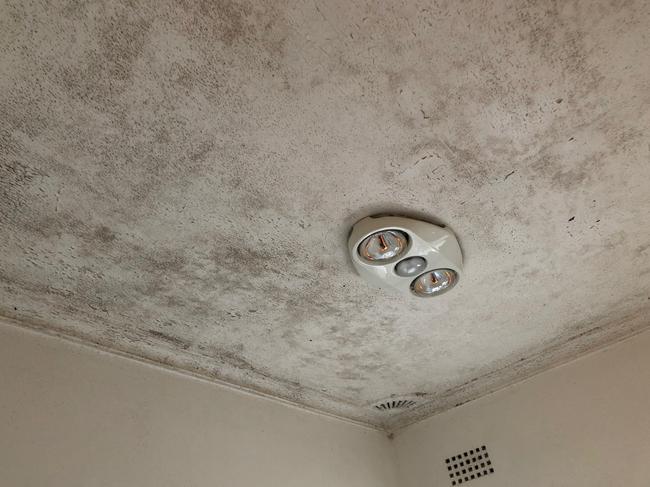 Images of mould in Sydney homes provided by Matt Reardon of Mould Buster