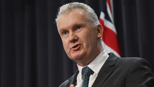 Workplace Relations Minister Tony Burke wants awards made easier. Picture: NewsWire / Martin Ollman