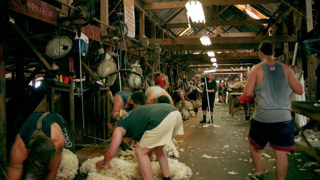 Shearing at the Toganmain at Carrathool.