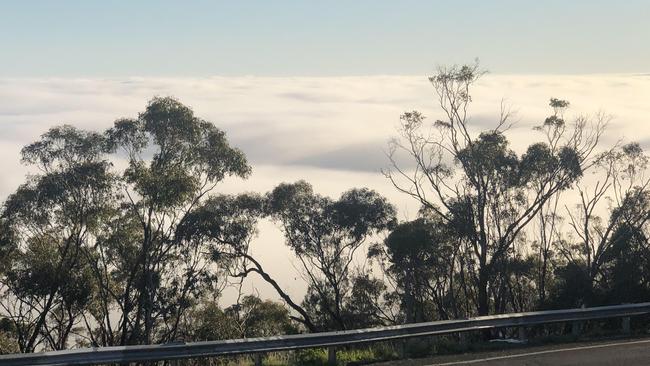 The city below cannot be seen due to heavy fog from sunny Windy Point this morning, July 14. Picture: Michael Owen-Brown