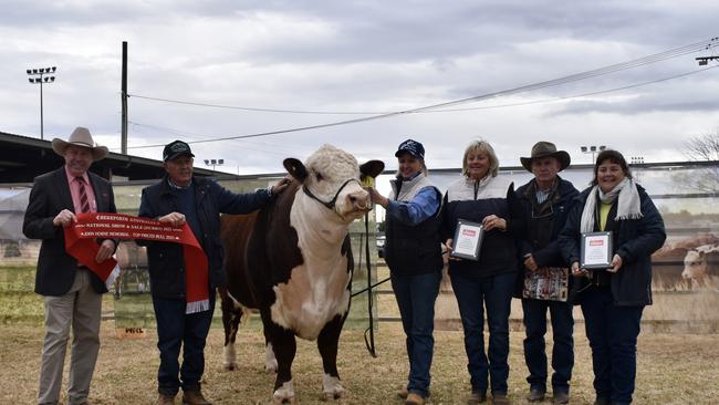 The top price bull at the Hereford National Show and Sale at Dubbo, The Ranch Qualifier. Picture: Rowan McNaught