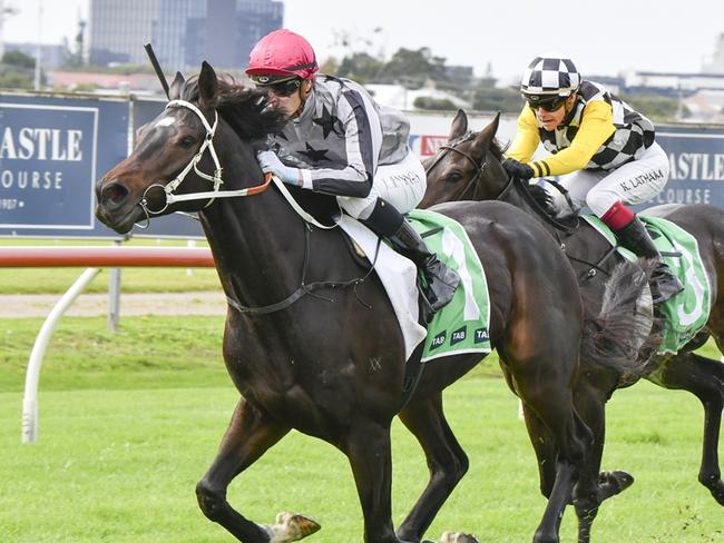 So Sleek looks well placed to break through for his first win this campaign at Warwick farm. Picture: Bradley Photos